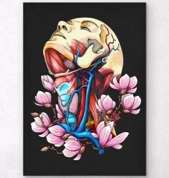 Kopf, Hals und Arterien - Floral - Schwarz | Codex Anatomicus Sale