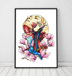 Kopf, Hals und Arterien - Florale | Codex Anatomicus Online