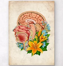 Kopfteil Anatomie - Floral - Altes Papier | Codex Anatomicus Discount