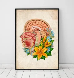 Kopfteil Anatomie - Floral - Altes Papier | Codex Anatomicus Discount
