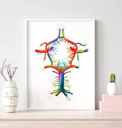 Kreis von Willis - Aquarell | Codex Anatomicus Hot