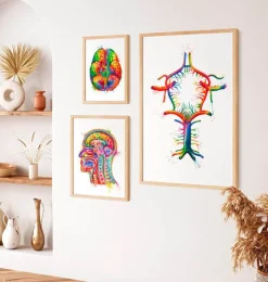 Kreis von Willis - Aquarell | Codex Anatomicus Hot