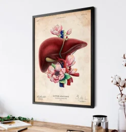 Leber Anatomie - Floral - Altes Papier | Codex Anatomicus Best