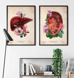 Leber Anatomie - Floral - Altes Papier | Codex Anatomicus Best