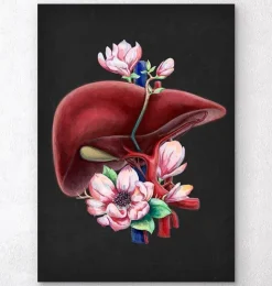 Leber Anatomie - Floral - Schwarz | Codex Anatomicus Hot