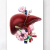 Leber Anatomie - Floral - Weiß | Codex Anatomicus Hot