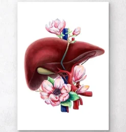 Leber Anatomie - Floral - Weiß | Codex Anatomicus Hot