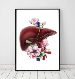 Leber Anatomie - Floral - Weiß | Codex Anatomicus Hot