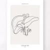 Leber Anatomie - Line-Art | Codex Anatomicus Online