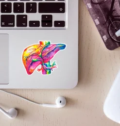 Leber Anatomie Aufkleber - Aquarell | Codex Anatomicus Sale