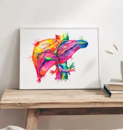 Leber Anatomie Kunst - Aquarell | Codex Anatomicus Sale