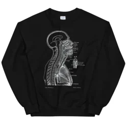 Leiter Abschnitt II Unisex Sweatshirt - Chalkboard | Codex Anatomicus New