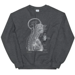 Leiter Abschnitt II Unisex Sweatshirt - Chalkboard | Codex Anatomicus New