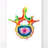 Lendenwirbel Anatomie - Aquarell | Codex Anatomicus Fashion
