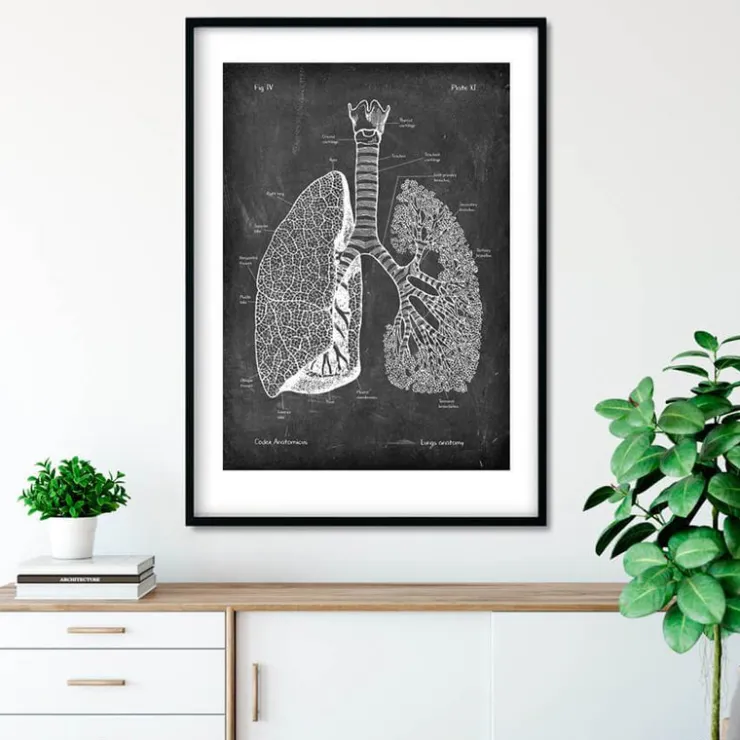 Lunge Anatomie - Chalkboard | Codex Anatomicus Best