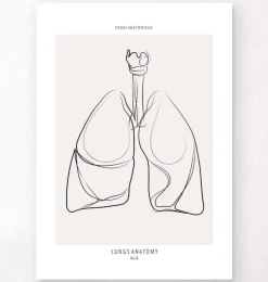 Lunge Anatomie - Line-Art | Codex Anatomicus New