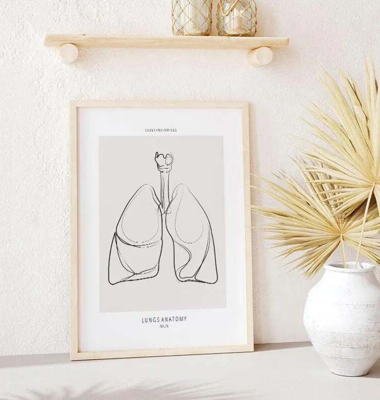 Lunge Anatomie - Line-Art | Codex Anatomicus New