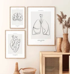 Lunge Anatomie - Line-Art | Codex Anatomicus New