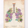 Lungen Anatomie - Floral - Vintage | Codex Anatomicus Hot