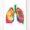Lungen Anatomie - Aquarell | Codex Anatomicus New