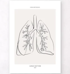 Lungenabschnitt - Line-Art | Codex Anatomicus Outlet