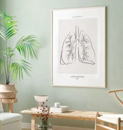 Lungenabschnitt - Line-Art | Codex Anatomicus Outlet