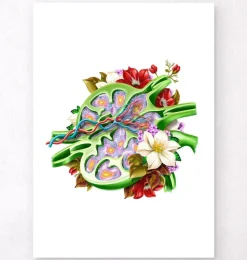 Lymphknoten - Floral - Weiß | Codex Anatomicus Fashion