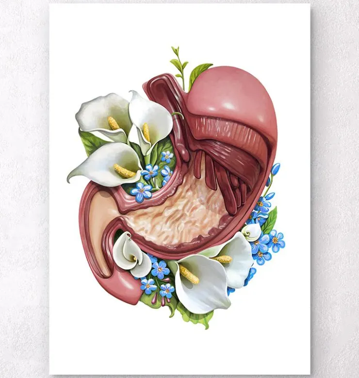 Magen Anatomie - Floral - Weiß | Codex Anatomicus Fashion