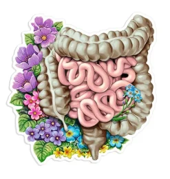 Magen Anatomie Aufkleber - Floral | Codex Anatomicus Fashion
