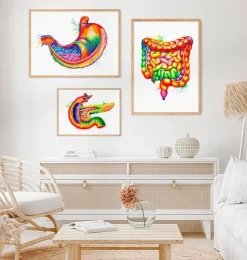 Magen Anatomie Kunst - Aquarell | Codex Anatomicus Sale