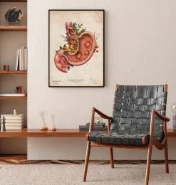 Magengeschwür - Floral - Vintage | Codex Anatomicus Clearance