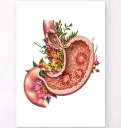Magengeschwür - Floral - Weiß | Codex Anatomicus Discount