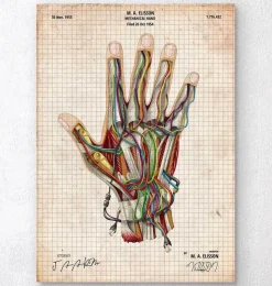 Mechanische Hand | Codex Anatomicus Discount