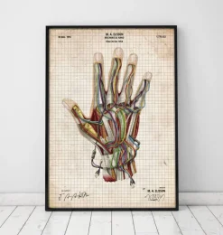 Mechanische Hand | Codex Anatomicus Discount