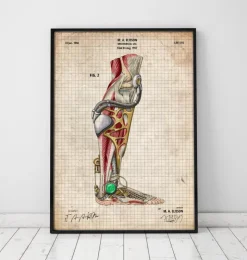 Mechanisches Bein | Codex Anatomicus Online