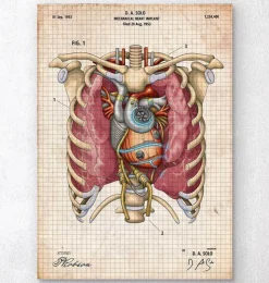 Mechanisches Herz II | Codex Anatomicus Sale