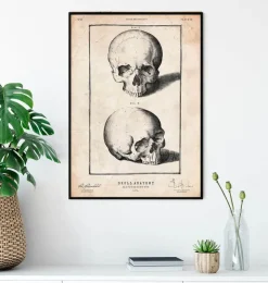 Menschlicher Schädeldruck VIII | Codex Anatomicus Hot