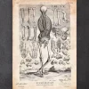 Menschlicher Skelett III | Codex Anatomicus Clearance