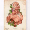 Männliche Körper Anatomie | Codex Anatomicus Sale