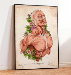 Männliche Körper Anatomie | Codex Anatomicus Sale