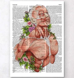 Männliche Körper Anatomie - Wörterbuch | Codex Anatomicus Hot
