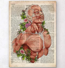 Männliche Körper Anatomie - Altes Wörterbuch | Codex Anatomicus Discount