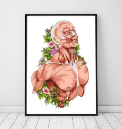 Männliche Körper Anatomie - Weiß | Codex Anatomicus Online