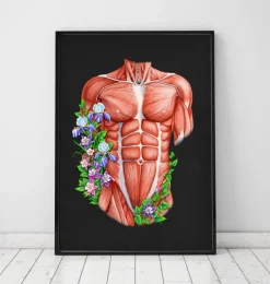 Männliche Rumpfmuskeln - Floral- Schwarz | Codex Anatomicus Sale