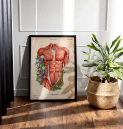 Männliche Rumpfmuskeln - Floral- Weiß | Codex Anatomicus Fashion