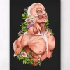 Männlichen Körpers Anatomie - Schwarz | Codex Anatomicus Discount