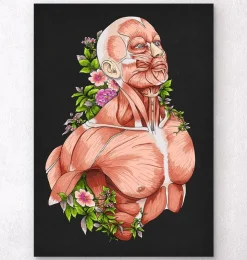 Männlichen Körpers Anatomie - Schwarz | Codex Anatomicus Discount