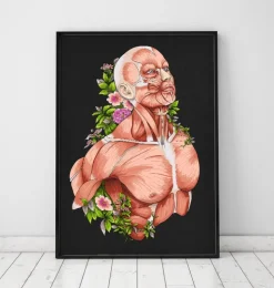 Männlichen Körpers Anatomie - Schwarz | Codex Anatomicus Discount