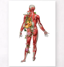 Muskulatur, Rückansicht - Floral - Weiß | Codex Anatomicus Outlet