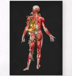 Muskulatur, Rückansicht - Floral - Schwarz | Codex Anatomicus Hot
